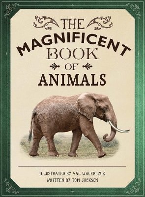 The Magnificent Book of Animals 1