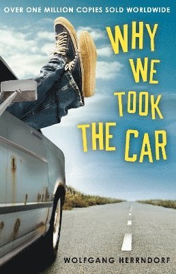 Wolfgang Herrndorf - Why We Took the Car, Häftad