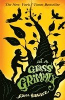 Adam Gidwitz - In a Glass Grimmly, Häftad