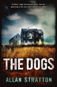 bokomslag Dogs