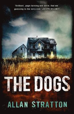 Dogs 1