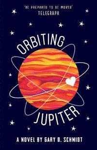 bokomslag Orbiting Jupiter
