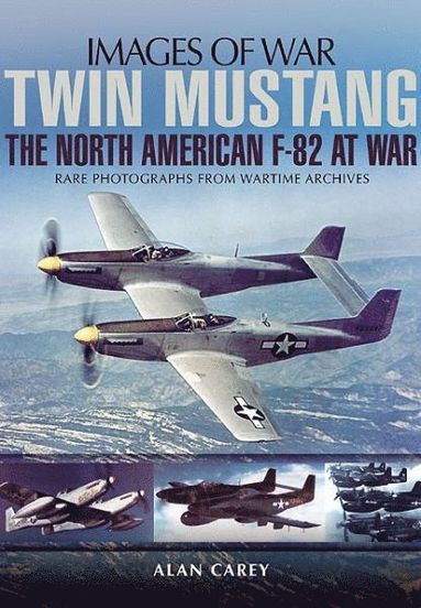 bokomslag Twin Mustang: The North American F-82 at War