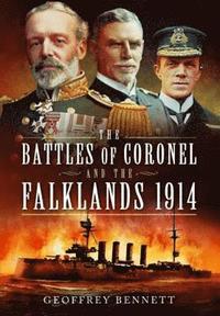 bokomslag Battles of Coronel and the Falklands, 1914