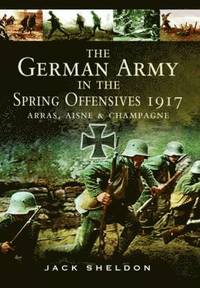 bokomslag German Army in the Spring Offensives 1917: Arras, Aisne and Champagne
