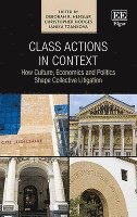 Deborah R. Hensler, Christopher Hodges, Ianika Tzankova - Class Actions in Context, Inbunden