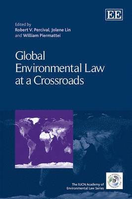 bokomslag Global Environmental Law at a Crossroads