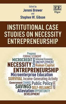 bokomslag Institutional Case Studies on Necessity Entrepreneurship