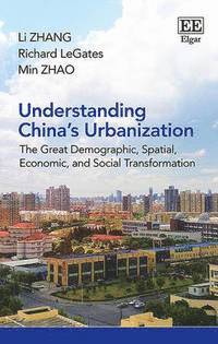 bokomslag Understanding China's Urbanization