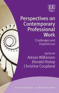 bokomslag Perspectives on Contemporary Professional Work