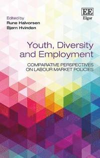 bokomslag Youth, Diversity and Employment