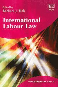 Barbara J. Fick - International Labour Law, Inbunden