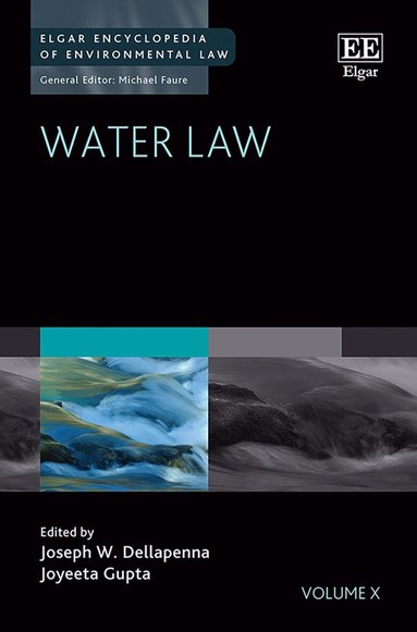Joseph W. Dellapenna, Joyeeta Gupta - Water Law, Inbunden