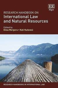 bokomslag Research Handbook on International Law and Natural Resources