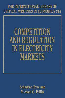 bokomslag Competition and Regulation in Electricity Markets