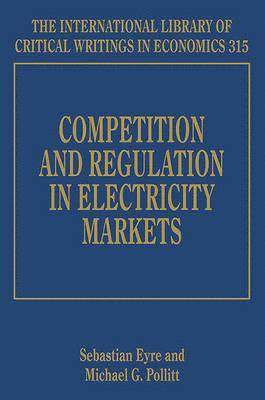 Competition and Regulation in Electricity Markets
