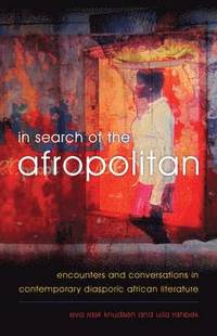 bokomslag In Search of the Afropolitan