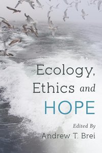 bokomslag Ecology, Ethics and Hope