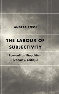 bokomslag The Labour of Subjectivity