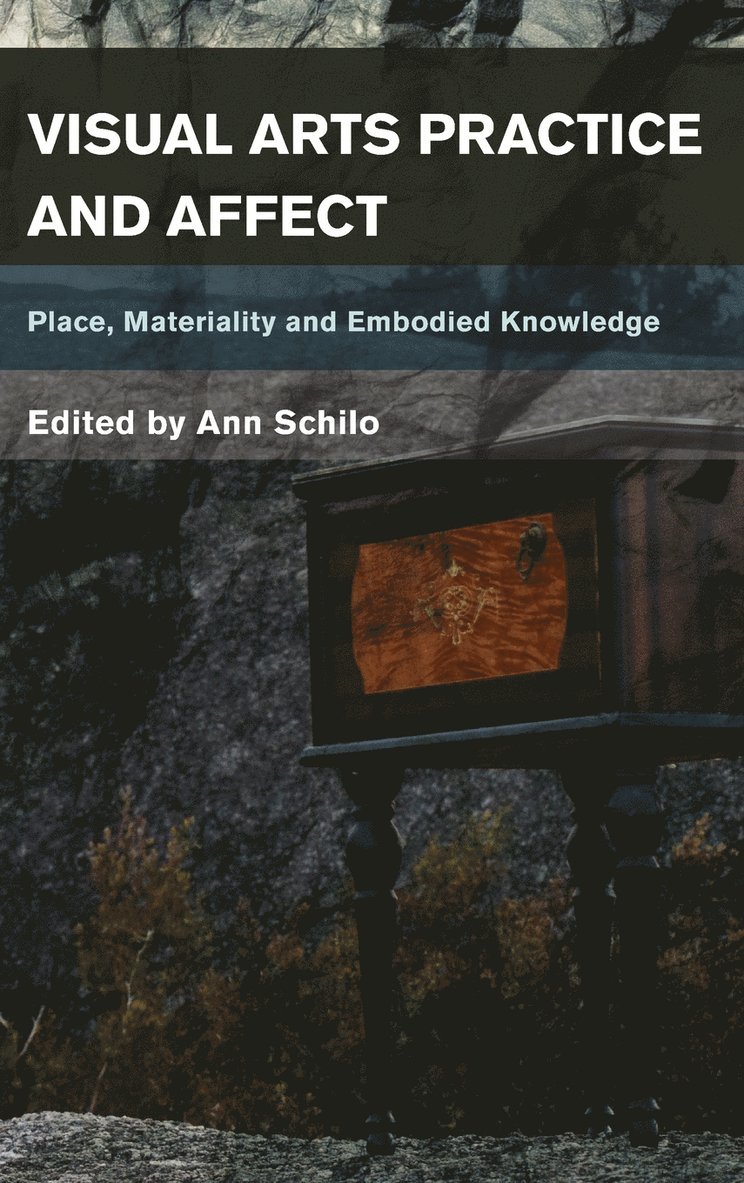 Visual Arts Practice and Affect