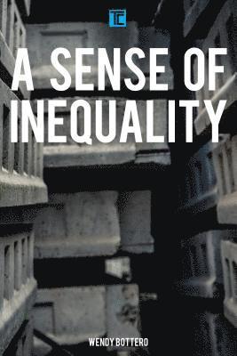 bokomslag A Sense of Inequality