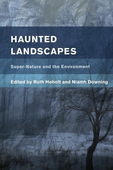 Ruth Heholt, Niamh Downing - Haunted Landscapes, Inbunden