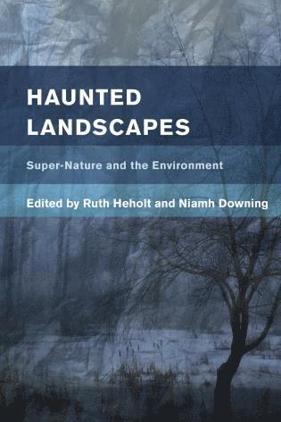 bokomslag Haunted Landscapes