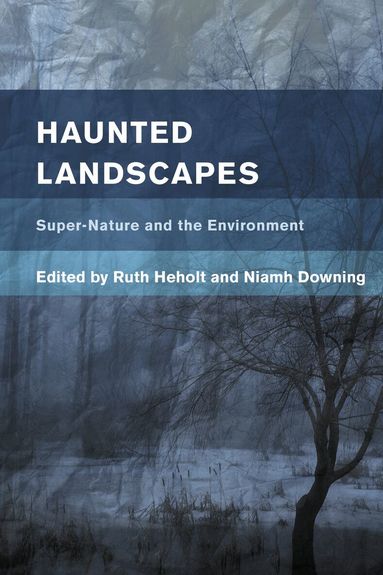 Ruth Heholt, Niamh Downing - Haunted Landscapes, Häftad