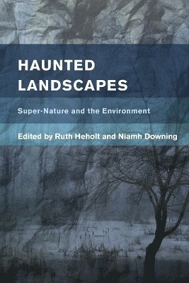 Haunted Landscapes