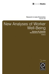 bokomslag New Analyses in Worker Well-Being