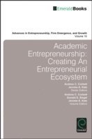 bokomslag Academic Entrepreneurship