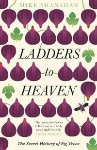 bokomslag Ladders to Heaven