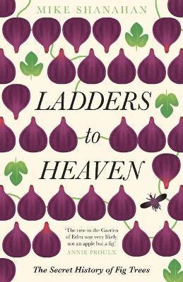 Ladders to Heaven 1