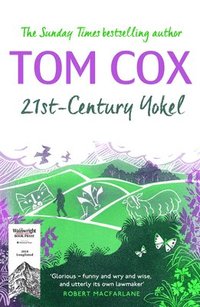 bokomslag 21st-Century Yokel