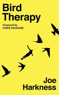 Bird Therapy 1