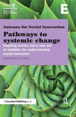 bokomslag Pathways to Systemic Change