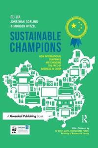 bokomslag Sustainable Champions