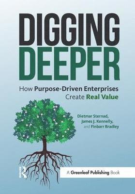 Dietmar Sternad, James J. Kennelly, Finbarr Bradley - Digging Deeper, Häftad