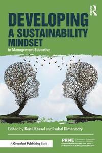 bokomslag Developing a Sustainability Mindset in Management Education