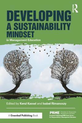 Developing a Sustainability Mindset in Management Education 1