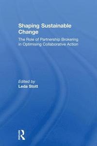 bokomslag Shaping Sustainable Change