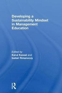 bokomslag Developing a Sustainability Mindset in Management Education