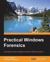 bokomslag Practical Windows Forensics
