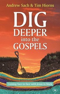bokomslag Dig Deeper into the Gospels