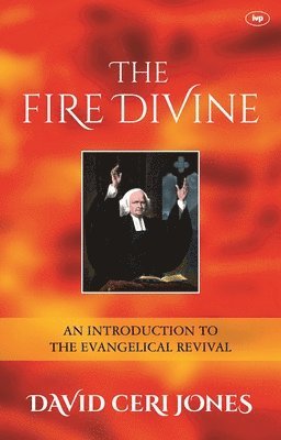 bokomslag The Fire Divine