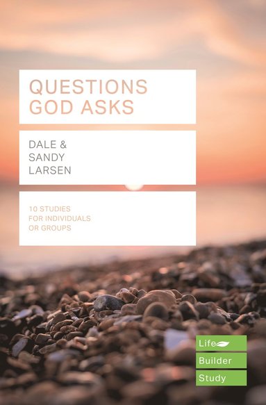 bokomslag Questions God Asks