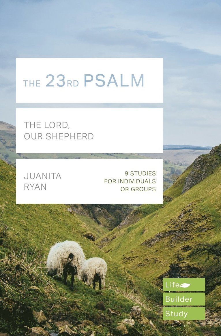 23rd Psalm (Lifebuilder Study Guides)