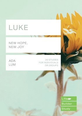 Luke (Lifebuilder Study Guides) 1