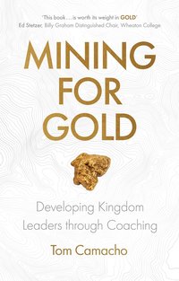 bokomslag Mining for Gold