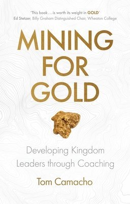 bokomslag Mining for Gold